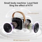 r High-end Ktv Karaoke Microphone Bluetooth Audio Wireless Mic - Image 3